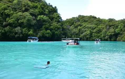 Micronesia