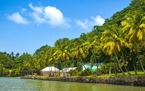 French Guiana