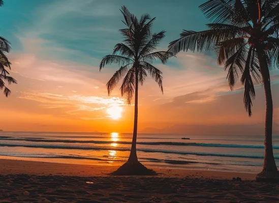 a vibrant sunset over a pristine beach in bali during winter, with palm trees swaying gently in the breeze.