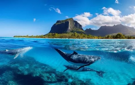 Mauritius